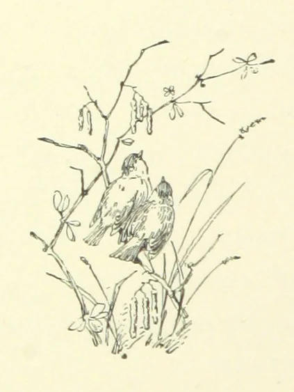 An illustration from Don. By the author of “Laddie” [i.e. Evelyn Whitaker], etc, 1895, leaf 10