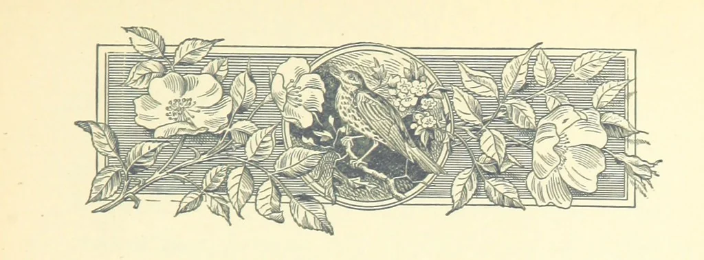 An illustration from Don. By the author of “Laddie” [i.e. Evelyn Whitaker], etc, 1895, leaf 11