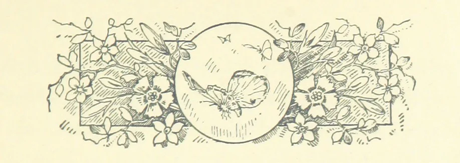 An illustration from Don. By the author of “Laddie” [i.e. Evelyn Whitaker], etc, 1895, leaf 119