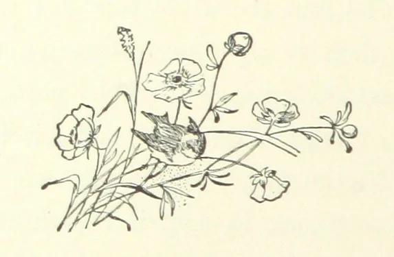 An illustration from Don. By the author of “Laddie” [i.e. Evelyn Whitaker], etc, 1895, leaf 128