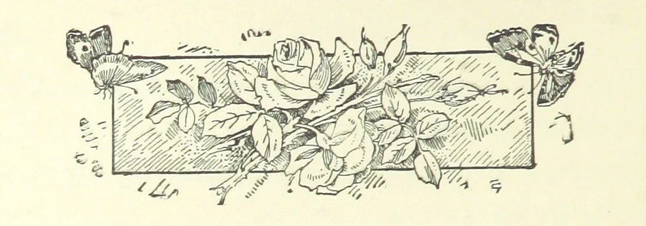 An illustration from Don. By the author of “Laddie” [i.e. Evelyn Whitaker], etc, 1895, leaf 138
