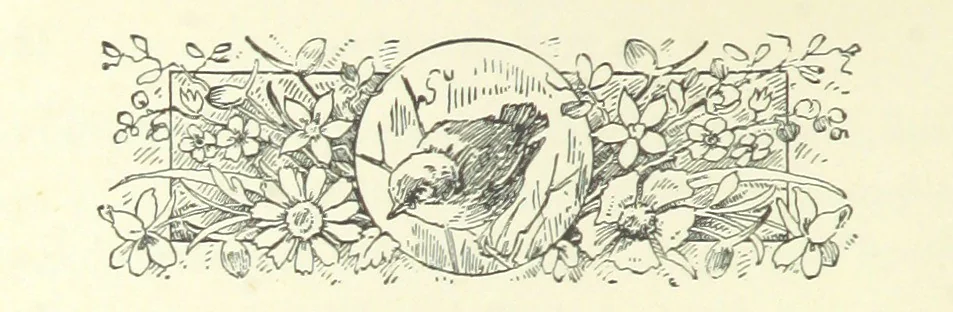 An illustration from Don. By the author of “Laddie” [i.e. Evelyn Whitaker], etc, 1895, leaf 168