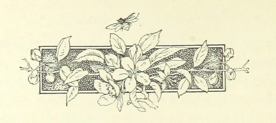 An illustration from Don. By the author of “Laddie” [i.e. Evelyn Whitaker], etc, 1895, leaf 180