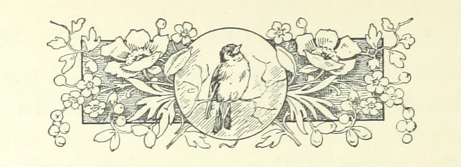 An illustration from Don. By the author of “Laddie” [i.e. Evelyn Whitaker], etc, 1895, leaf 248