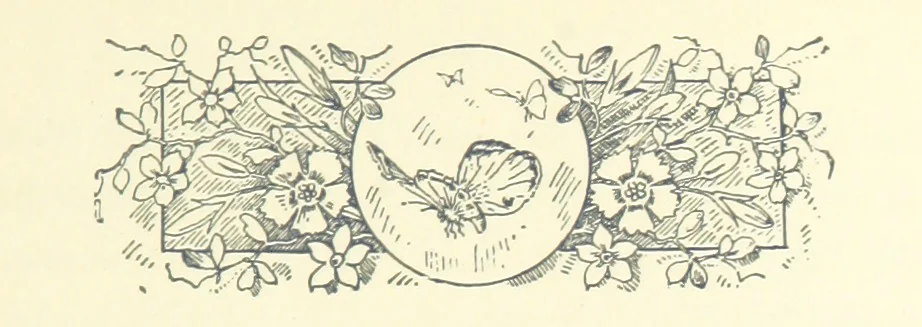 An illustration from Don. By the author of “Laddie” [i.e. Evelyn Whitaker], etc, 1895, leaf 25