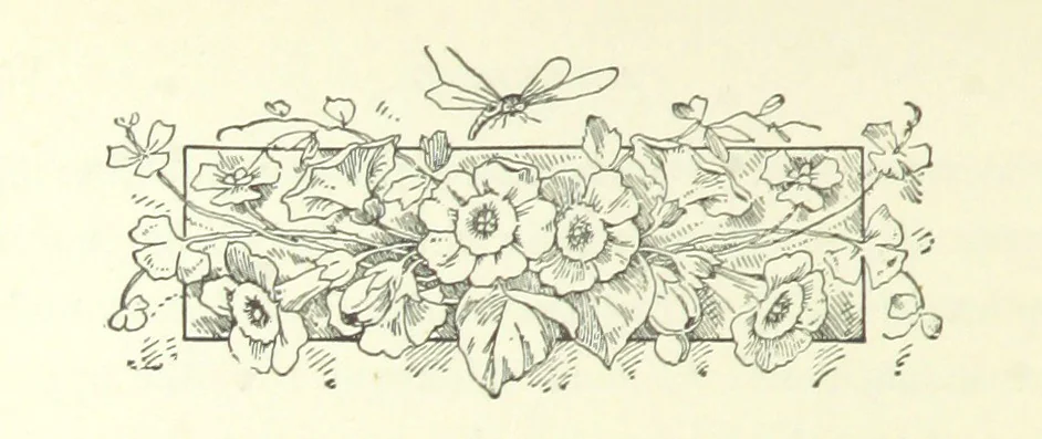 An illustration from Don. By the author of “Laddie” [i.e. Evelyn Whitaker], etc, 1895, leaf 258