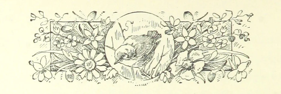 An illustration from Don. By the author of “Laddie” [i.e. Evelyn Whitaker], etc, 1895, leaf 272