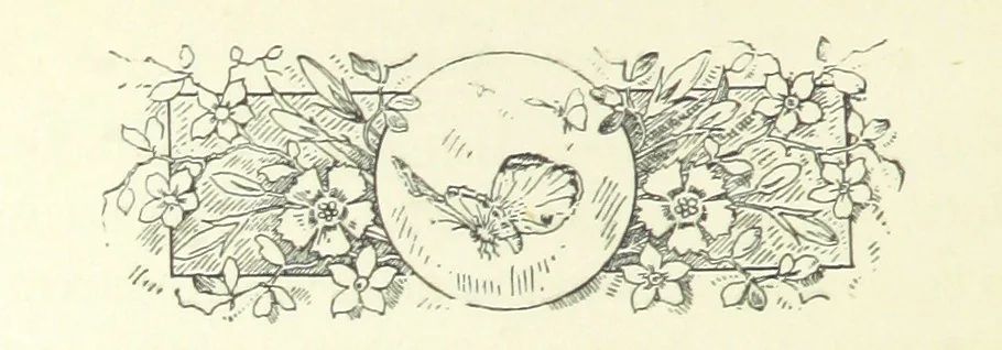 An illustration from Don. By the author of “Laddie” [i.e. Evelyn Whitaker], etc, 1895, leaf 306