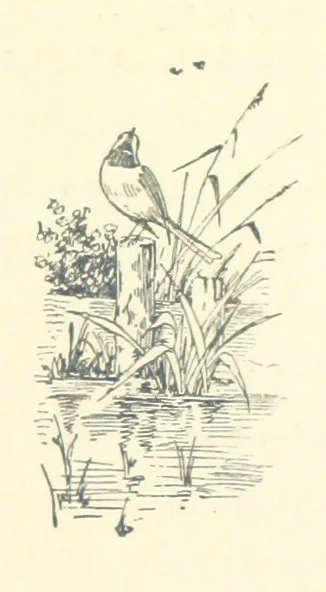 An illustration from Don. By the author of “Laddie” [i.e. Evelyn Whitaker], etc, 1895, leaf 319
