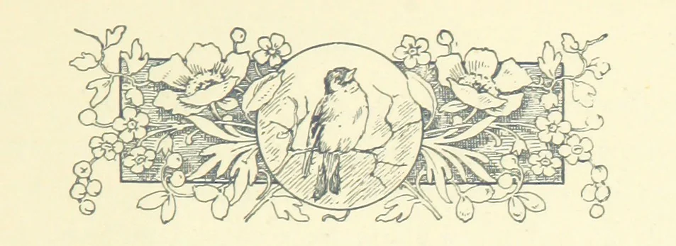 An illustration from Don. By the author of “Laddie” [i.e. Evelyn Whitaker], etc, 1895, leaf 341