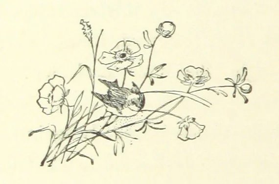 An illustration from Don. By the author of “Laddie” [i.e. Evelyn Whitaker], etc, 1895, leaf 354