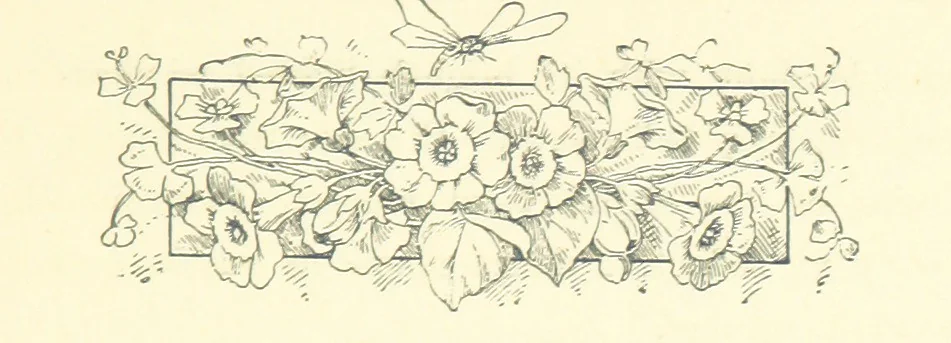 An illustration from Don. By the author of “Laddie” [i.e. Evelyn Whitaker], etc, 1895, leaf 355