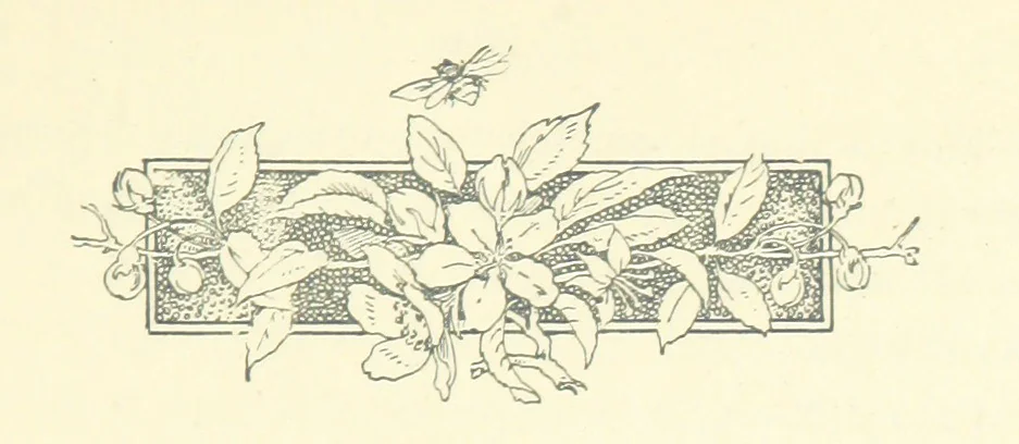 An illustration from Don. By the author of “Laddie” [i.e. Evelyn Whitaker], etc, 1895, leaf 377
