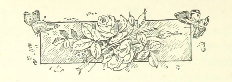 An illustration from Don. By the author of “Laddie” [i.e. Evelyn Whitaker], etc, 1895, leaf 50