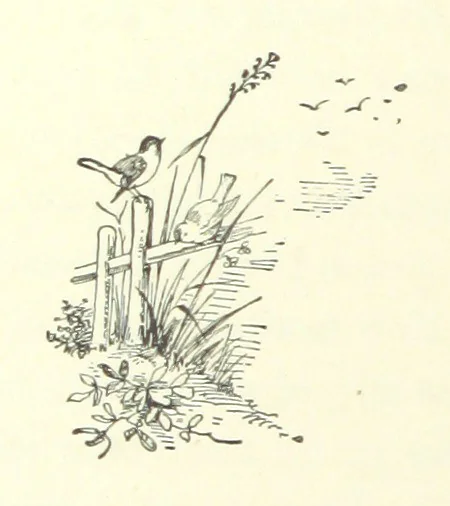 An illustration from Don. By the author of “Laddie” [i.e. Evelyn Whitaker], etc, 1895, leaf 68
