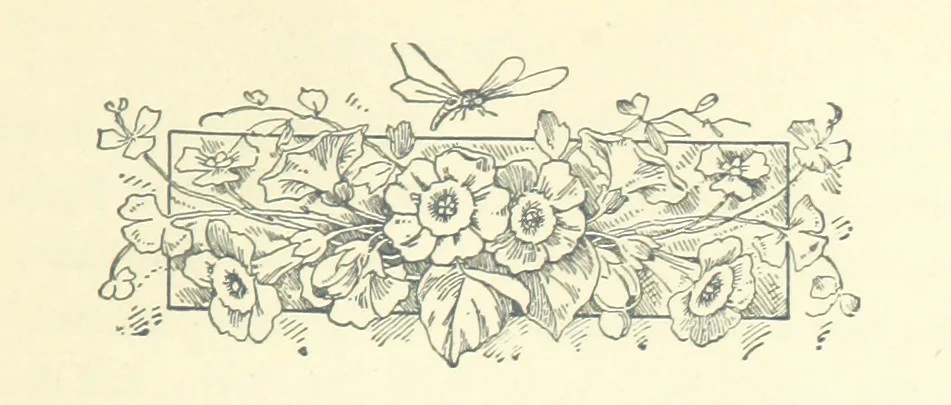 An illustration from Don. By the author of “Laddie” [i.e. Evelyn Whitaker], etc, 1895, leaf 69