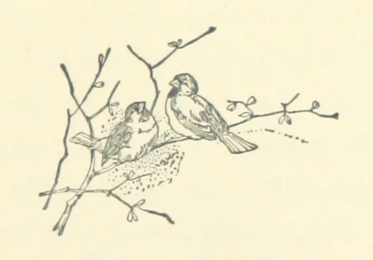 An illustration from Don. By the author of “Laddie” [i.e. Evelyn Whitaker], etc, 1895, leaf 77