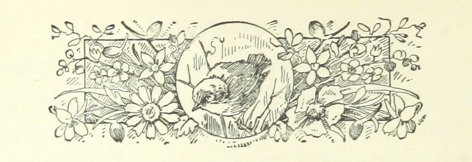 An illustration from Don. By the author of “Laddie” [i.e. Evelyn Whitaker], etc, 1895, leaf 78