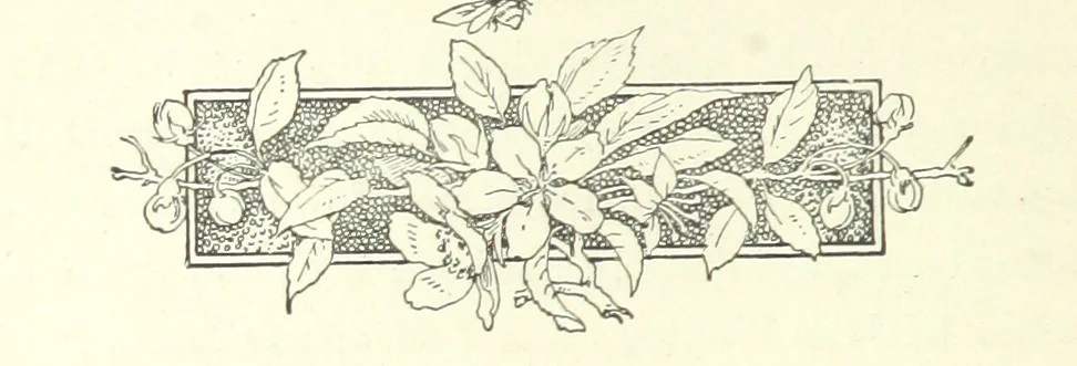 An illustration from Don. By the author of “Laddie” [i.e. Evelyn Whitaker], etc, 1895, leaf 92