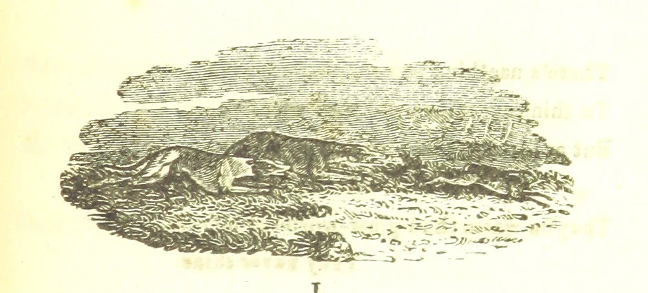 An illustration from Poems; chiefly in the Scottish dialect, etc, 1809, leaf 129