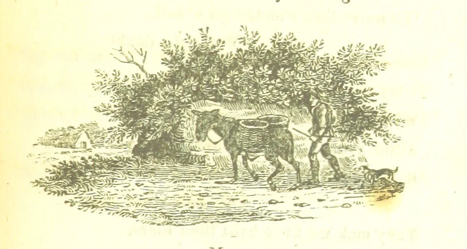 An illustration from Poems; chiefly in the Scottish dialect, etc, 1809, leaf 141