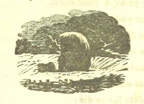 An illustration from Poems; chiefly in the Scottish dialect, etc, 1809, leaf 153