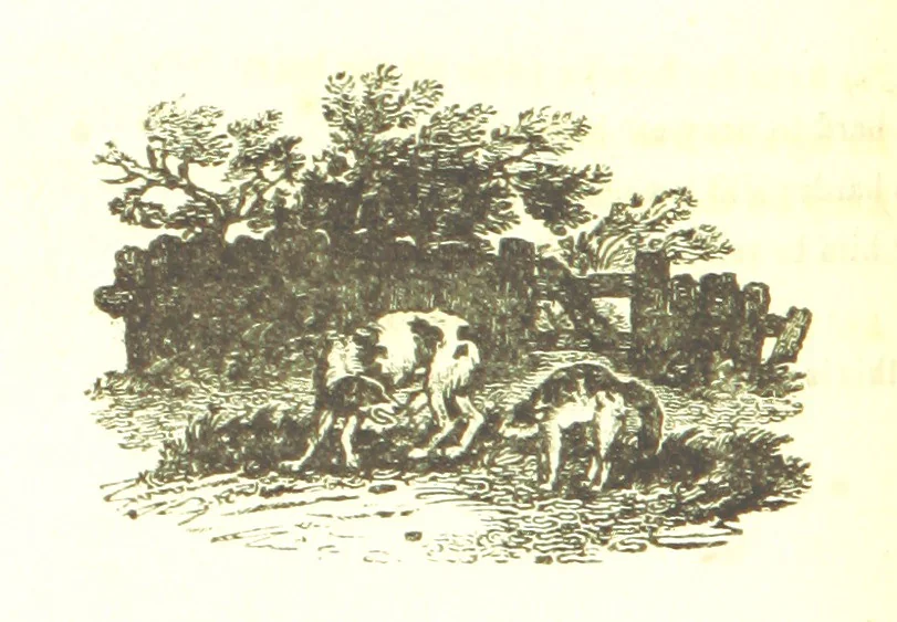 An illustration from Poems; chiefly in the Scottish dialect, etc, 1809, leaf 166