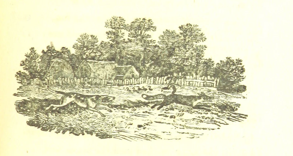 An illustration from Poems; chiefly in the Scottish dialect, etc, 1809, leaf 191
