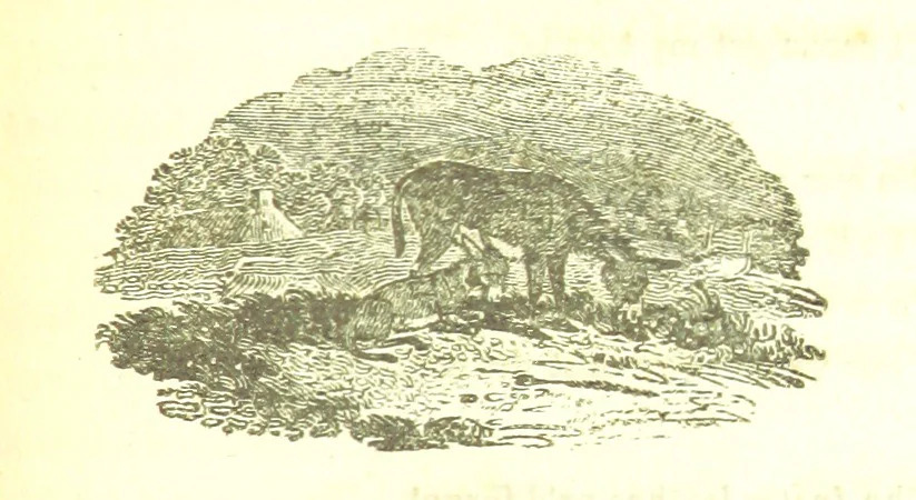 An illustration from Poems; chiefly in the Scottish dialect, etc, 1809, leaf 197
