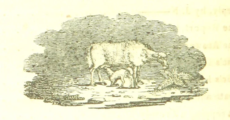 An illustration from Poems; chiefly in the Scottish dialect, etc, 1809, leaf 32