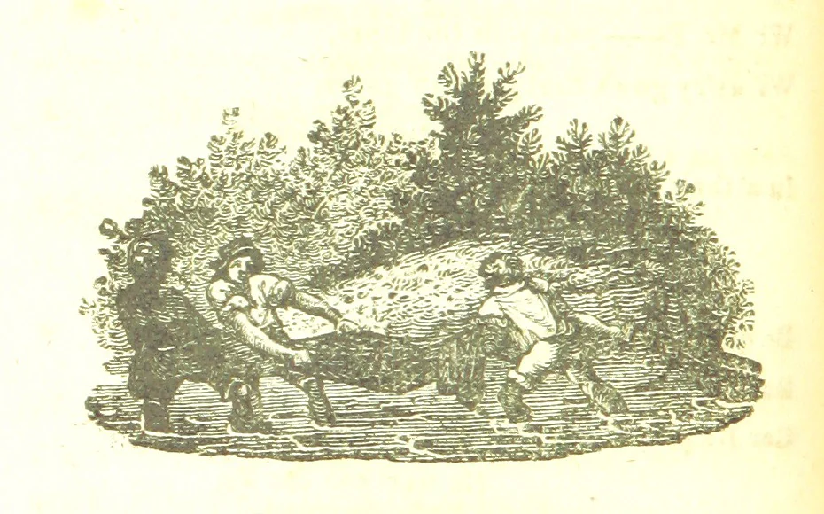 An illustration from Poems; chiefly in the Scottish dialect, etc, 1809, leaf 46