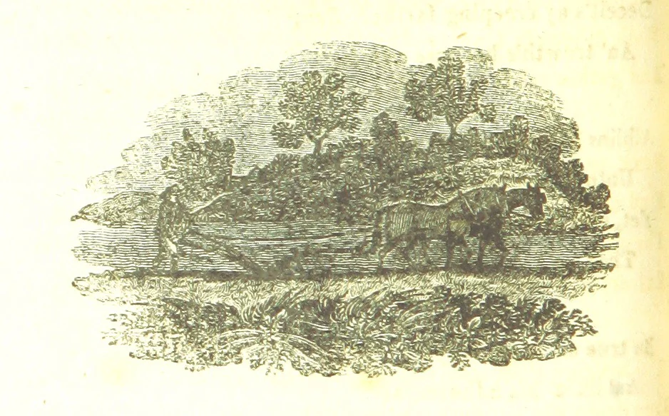 An illustration from Poems; chiefly in the Scottish dialect, etc, 1809, leaf 54