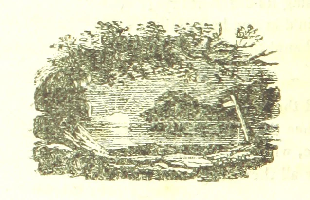 An illustration from Poems; chiefly in the Scottish dialect, etc, 1809, leaf 58