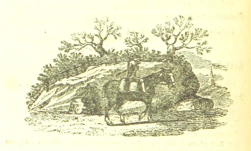 An illustration from Poems; chiefly in the Scottish dialect, etc, 1809, leaf 74