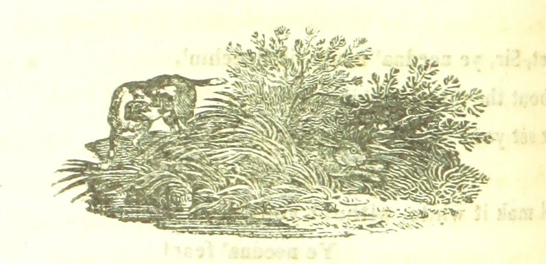 An illustration from Poems; chiefly in the Scottish dialect, etc, 1809, leaf 84