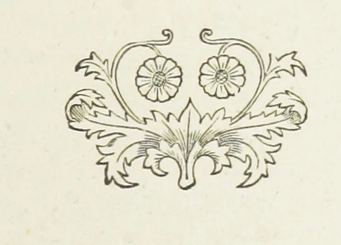 An illustration from Aniwee; or, the Warrior Queen. A tale, etc, 1890, leaf 107