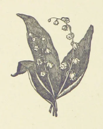 An illustration from Aniwee; or, the Warrior Queen. A tale, etc, 1890, leaf 42