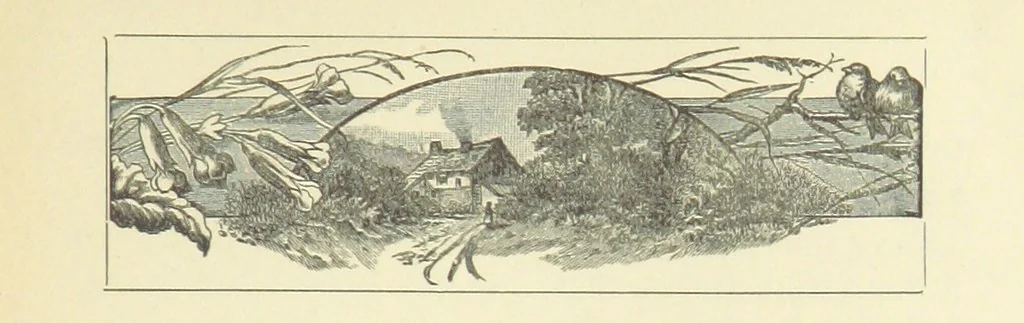 An illustration from The Bloom of Faded Years. [A novel, 1896, leaf 15