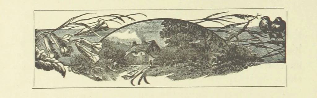 An illustration from The Bloom of Faded Years. [A novel, 1896, leaf 160
