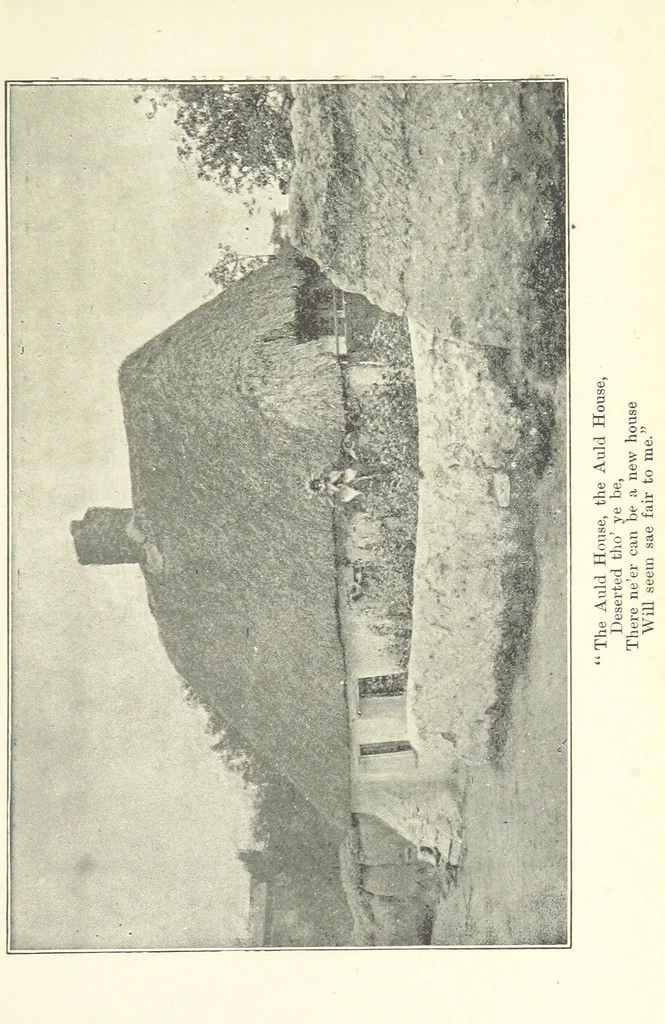 An illustration from The Bloom of Faded Years. [A novel, 1896, leaf 301