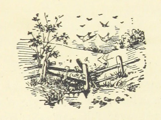 An illustration from The Bloom of Faded Years. [A novel, 1896, leaf 45