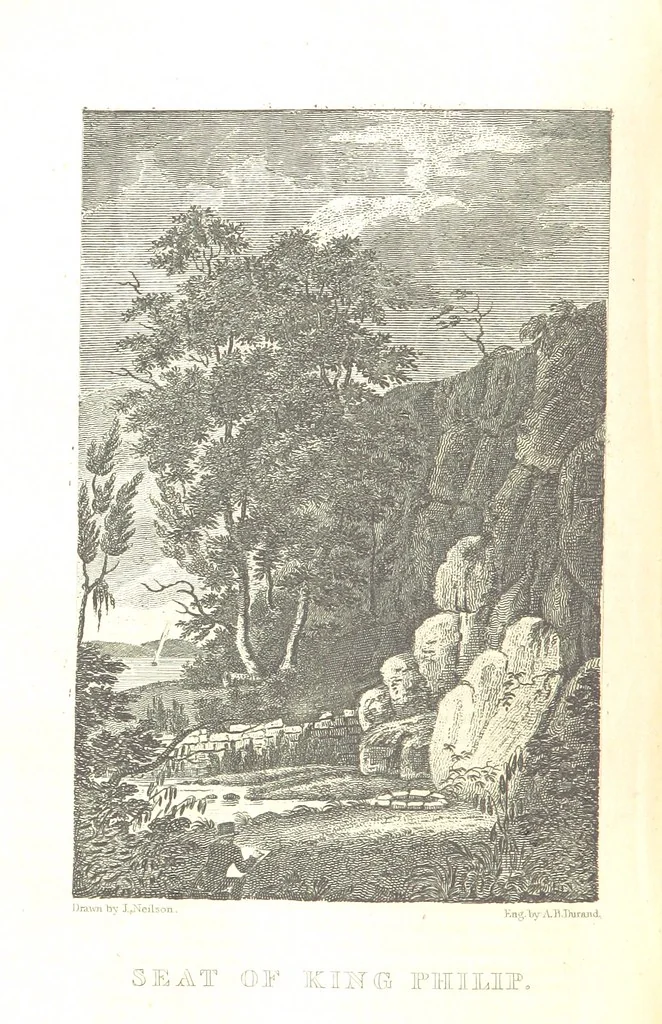 An illustration from Biography and History of the Indians of North America ... also a history of their wars ... Likewise exhibiting an analysis of the ... authors, who have written upon ... the first peopling of America. Third edition, with ... additions ... corrections and ... engravings, 1836, leaf 244