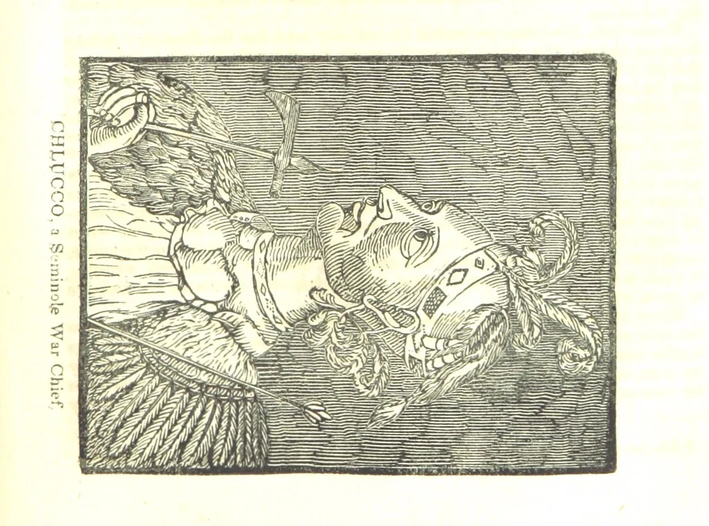 An illustration from Biography and History of the Indians of North America ... also a history of their wars ... Likewise exhibiting an analysis of the ... authors, who have written upon ... the first peopling of America. Third edition, with ... additions ... corrections and ... engravings, 1836, leaf 363