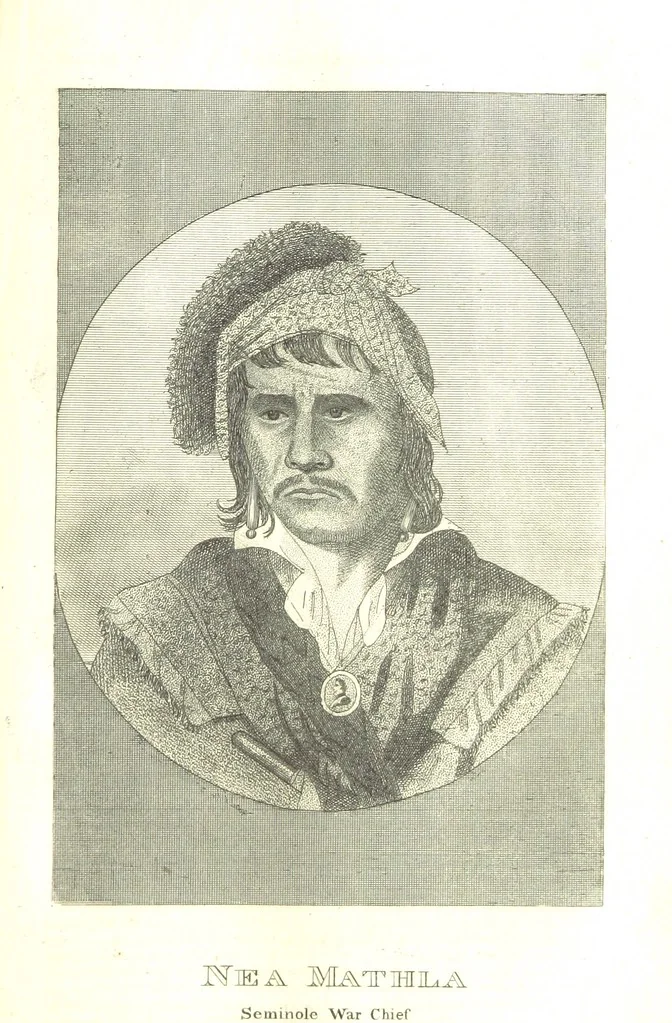 An illustration from Biography and History of the Indians of North America ... also a history of their wars ... Likewise exhibiting an analysis of the ... authors, who have written upon ... the first peopling of America. Third edition, with ... additions ... corrections and ... engravings, 1836, leaf 417
