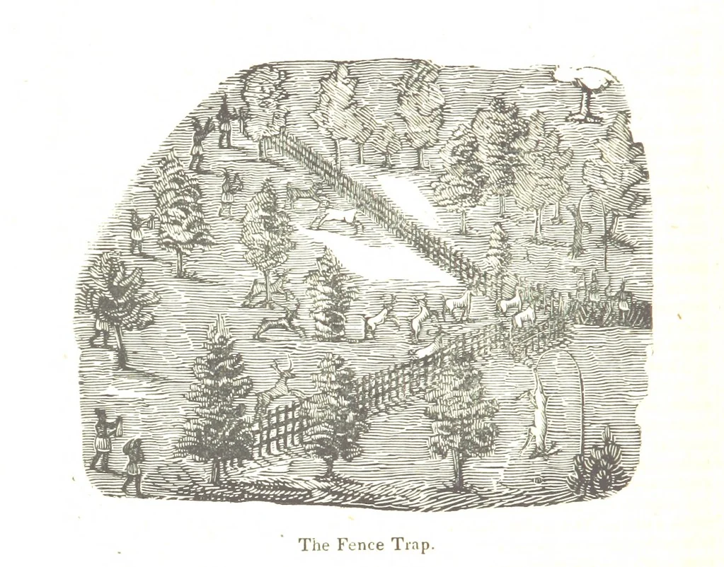 An illustration from Biography and History of the Indians of North America ... also a history of their wars ... Likewise exhibiting an analysis of the ... authors, who have written upon ... the first peopling of America. Third edition, with ... additions ... corrections and ... engravings, 1836, leaf 64