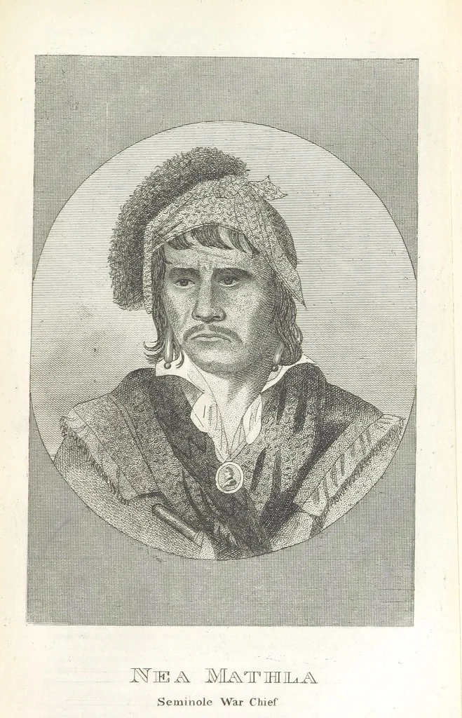 An illustration from Biography and History of the Indians of North America ... also a history of their wars ... Likewise exhibiting an analysis of the ... authors, who have written upon ... the first peopling of America. Third edition, with ... additions ... corrections and ... engravings, 1837, leaf 421