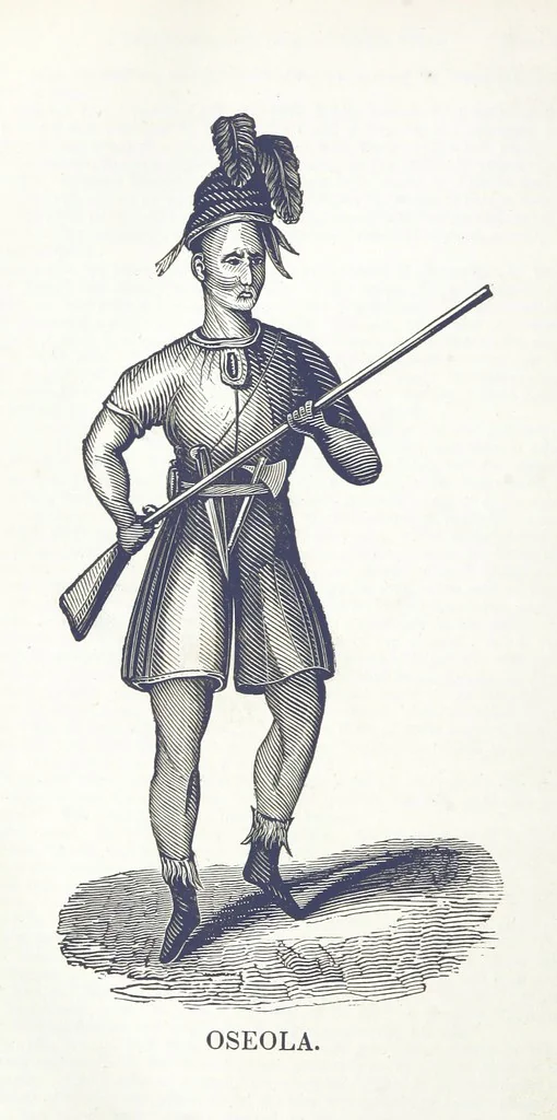 An illustration from Biography and History of the Indians of North America ... also a history of their wars ... Likewise exhibiting an analysis of the ... authors, who have written upon ... the first peopling of America. Third edition, with ... additions ... corrections and ... engravings, 1837, leaf 432
