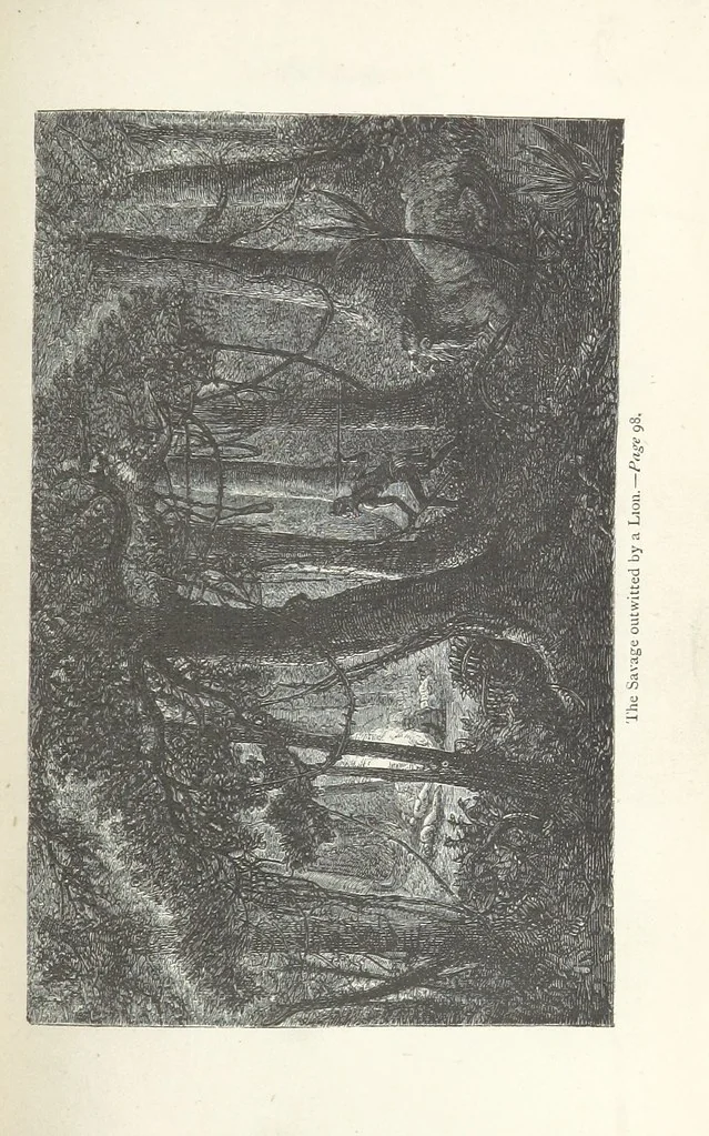 An illustration from Among the Zulus; the adventures of Hans Sterk ... With illustrations by J. B. Zwecker. New ... edition. Third thousand, 1879, leaf 115