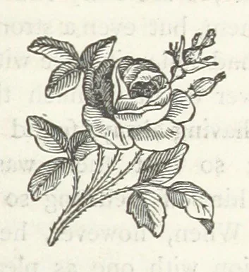 An illustration from Among the Zulus; the adventures of Hans Sterk ... With illustrations by J. B. Zwecker. New ... edition. Third thousand, 1879, leaf 163