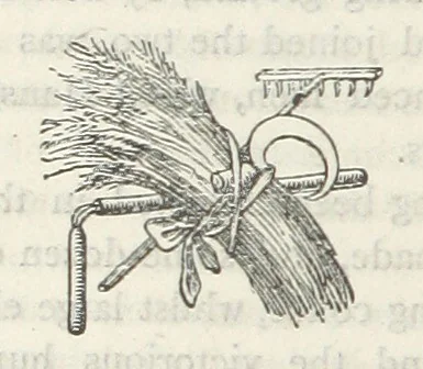 An illustration from Among the Zulus; the adventures of Hans Sterk ... With illustrations by J. B. Zwecker. New ... edition. Third thousand, 1879, leaf 178